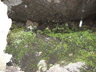 otte Scorciavacca20110306 079